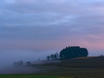 Nebel aus dem Tal