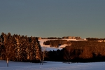 Morgensonne und Winterwald